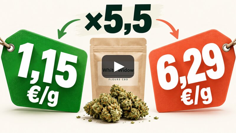 Miniature de la vidéo : Payez-vous votre CBD 5 fois trop cher ? (37 000 prix vérifiés)